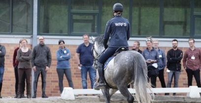Olympische Spiele im Blick des Pferdesports