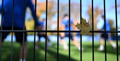 Herbst-Aufschwung bei kicker, Sport1 und 11FREUNDE