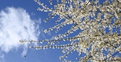 Frühling macht Radsport-News und Runner’s World froh