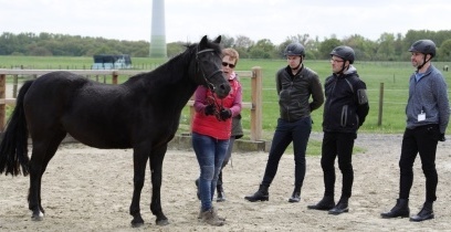 Reitsport-Veranstaltung