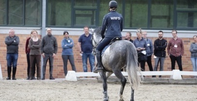 Bilanz des Pferdesport-Seminars