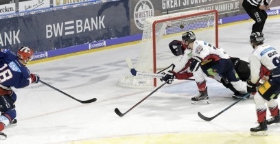 Deutsche Eishockey Liga