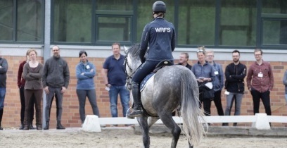 Veranstaltung von FN und VDS